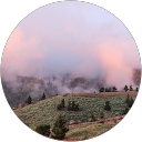 Lou Courtois profile picture